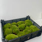 Musgo Bola Natural